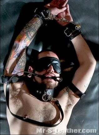 Mr. S Leather Ultra Blindfold