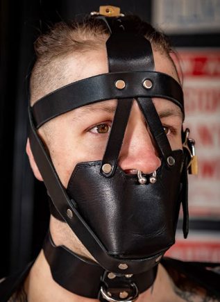 Mr. S Leather Head Harness Muzzle Padded with Locking Buckles