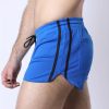 Cellblock 13 Take Down Reversible Short Blue Small