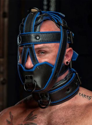 Mr. S Hardline Head Harness Muzzle Padded Locking Blue