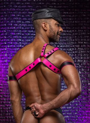 Mr. S Leather Slingshot Tri-Harness Pink