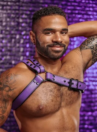 Mr. S Leather Slingshot Tri-Harness Purple