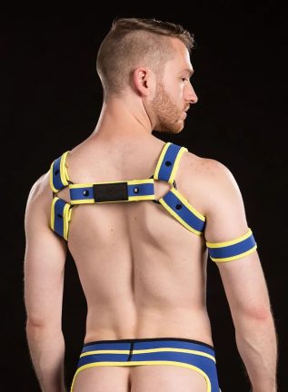 Mr. S Neoprene Bold Color Bulldog Harness Custom