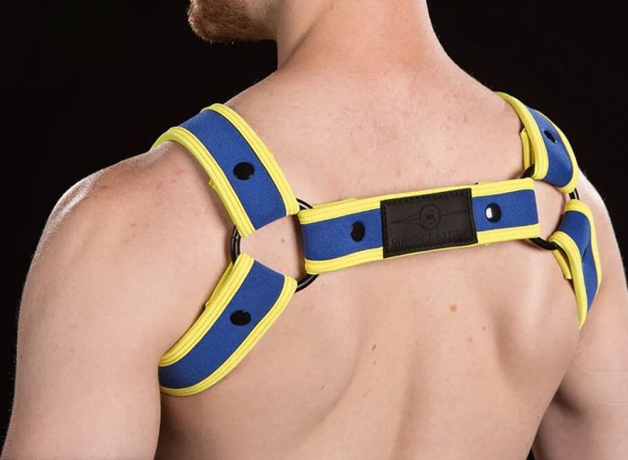 Mr. S Neoprene Bold Color Bulldog Harness Custom