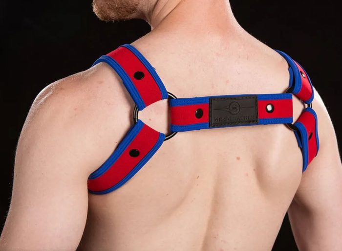 Mr. S Neoprene Bold Color Bulldog Harness Custom