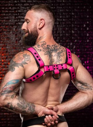 Mr. S Leather Dark Room Bulldog Harness Pink