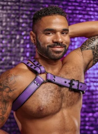 Mr. S Leather Slingshot Tri-Harness Purple