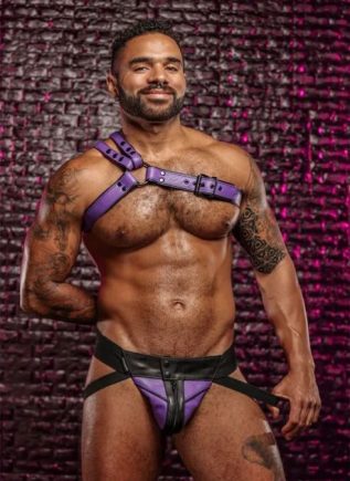 Mr. S Leather Slingshot Tri-Harness Purple