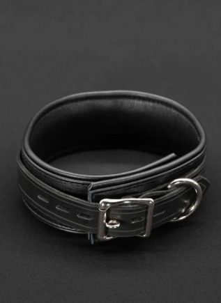 Mr. S Leather Boy Collar