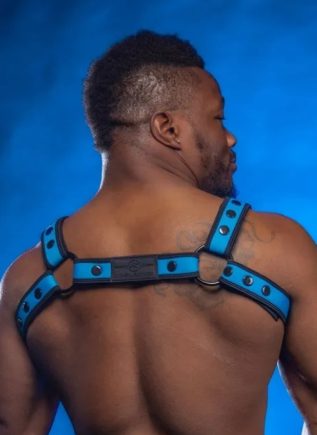 Mr. S Neoprene Bold Color Bulldog Harness (12 Colors)