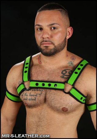 Mr. S Neoprene Bold Color Bulldog Harness (12 Colors)