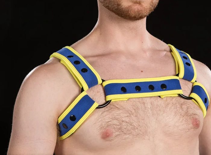 Mr. S Neoprene Bold Color Bulldog Harness Custom