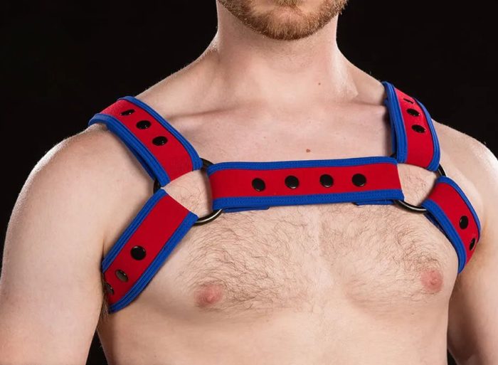 Mr. S Neoprene Bold Color Bulldog Harness Custom