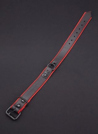 Mr. S Leather Hardline Collar Red